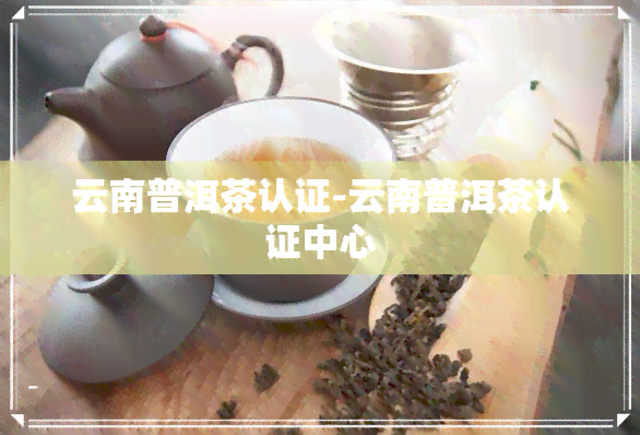 云南普洱茶认证-云南普洱茶认证中心