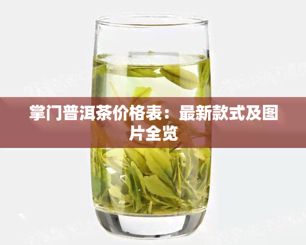 掌门普洱茶价格表：最新款式及图片全览