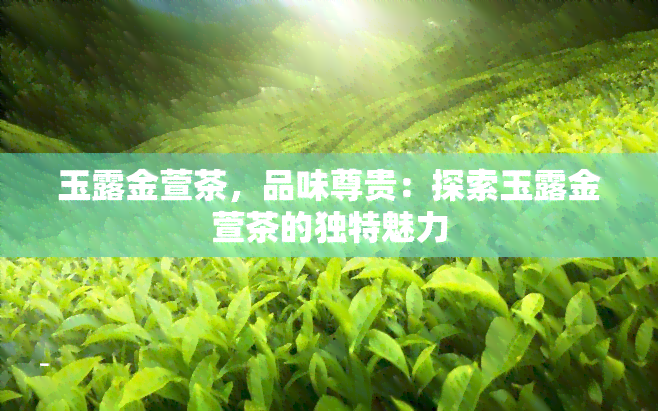 玉露金萱茶，品味尊贵：探索玉露金萱茶的独特魅力