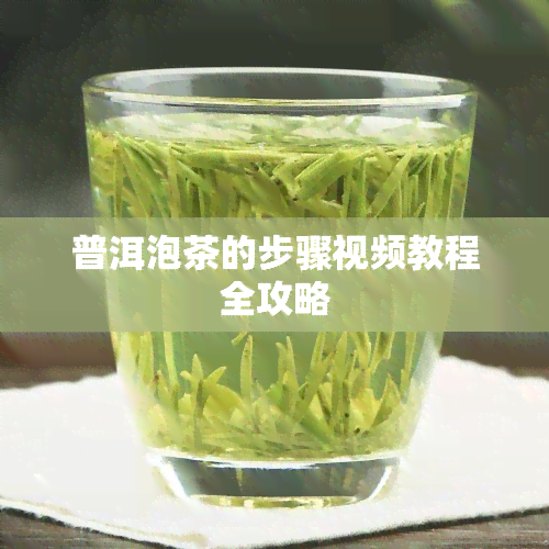 普洱泡茶的步骤视频教程全攻略