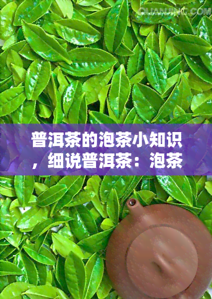 普洱茶的泡茶小知识，细说普洱茶：泡茶小知识全解析