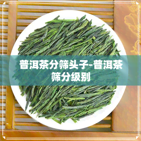 普洱茶分筛头子-普洱茶筛分级别