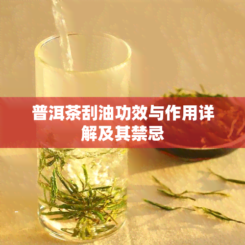 普洱茶刮油功效与作用详解及其禁忌