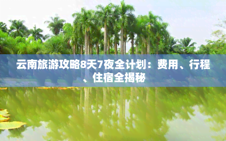 云南旅游攻略8天7夜全计划：费用、行程、住宿全揭秘