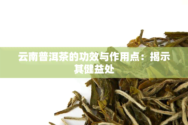 云南普洱茶的功效与作用点：揭示其健益处