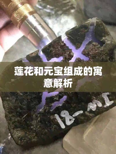 莲花和元宝组成的寓意解析