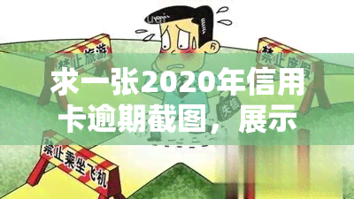 求一张2020年信用卡逾期截图，展示欠款情况的图片