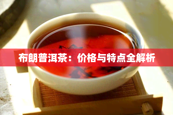 布朗普洱茶：价格与特点全解析