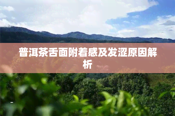 普洱茶舌面附着感及发涩原因解析