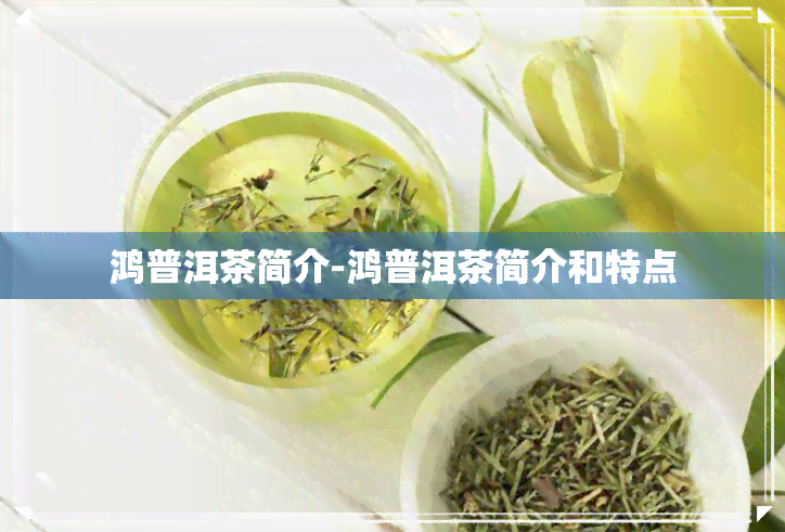 鸿普洱茶简介-鸿普洱茶简介和特点