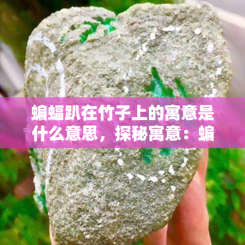 蝙蝠趴在竹子上的寓意是什么意思，探秘寓意：蝙蝠趴在竹子上所象征的含义