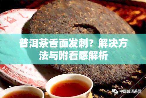 普洱茶舌面发刺？解决方法与附着感解析