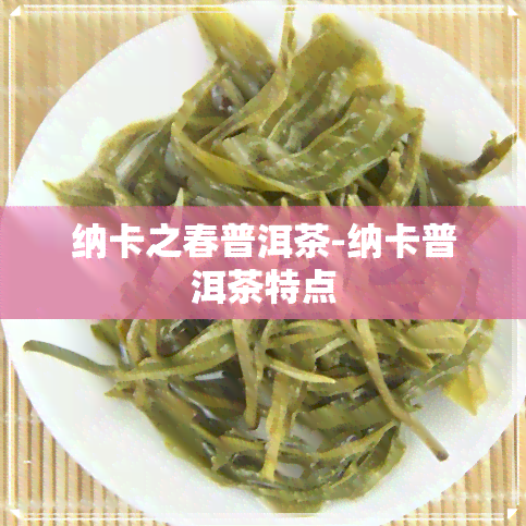 纳卡之春普洱茶-纳卡普洱茶特点