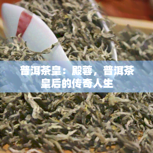 普洱茶皇：殿蓉，普洱茶皇后的传奇人生