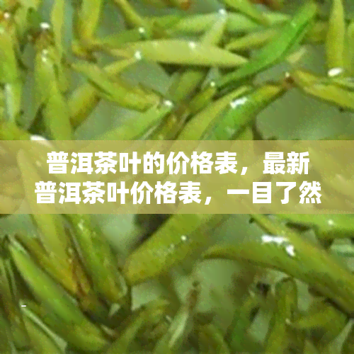 普洱茶叶的价格表，最新普洱茶叶价格表，一目了然！