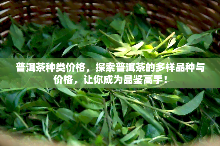 普洱茶种类价格，探索普洱茶的多样品种与价格，让你成为品鉴高手！