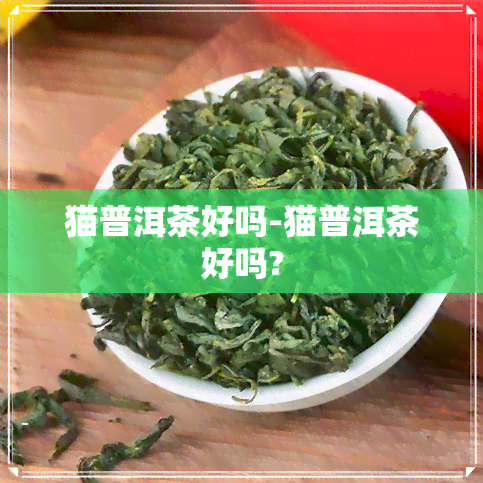 猫普洱茶好吗-猫普洱茶好吗?