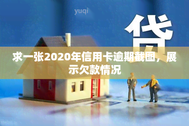 求一张2020年信用卡逾期截图，展示欠款情况