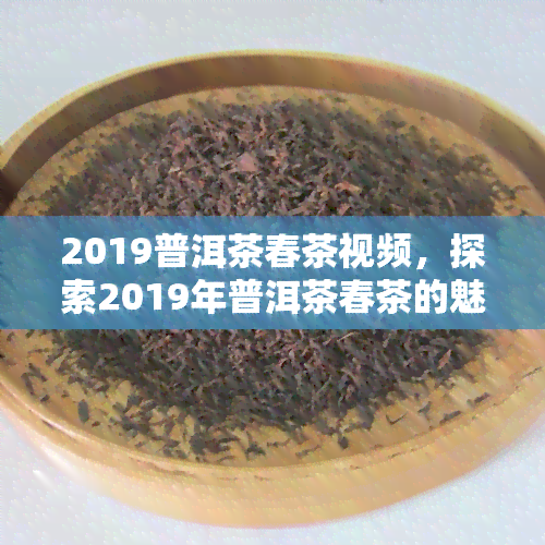 2019普洱茶春茶视频，探索2019年普洱茶春茶的魅力：一场视觉与味觉的宴！