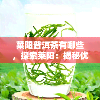 莱阳普洱茶有哪些，探索莱阳：揭秘优质普洱茶