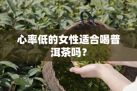 心率低的女性适合喝普洱茶吗？