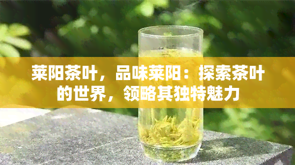 莱阳茶叶，品味莱阳：探索茶叶的世界，领略其独特魅力