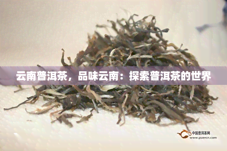 云南普洱茶，品味云南：探索普洱茶的世界