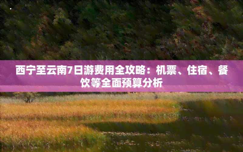 西宁至云南7日游费用全攻略：机票、住宿、餐饮等全面预算分析