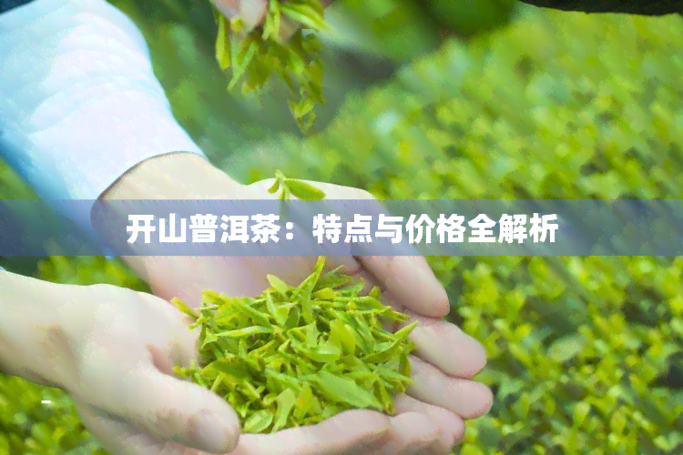 开山普洱茶：特点与价格全解析