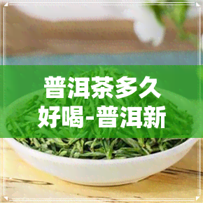 普洱茶多久好喝-普洱新茶多久才好喝