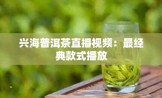 兴海普洱茶直播视频：最经典款式播放