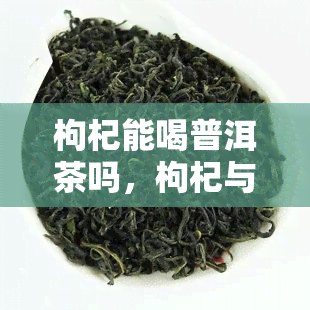 枸杞能喝普洱茶吗，枸杞与普洱茶：可以一起饮用吗？