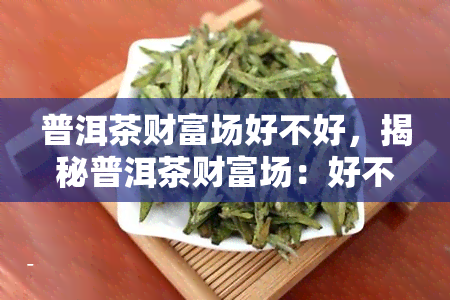 普洱茶财富场好不好，揭秘普洱茶财富场：好不好？值得投资吗？