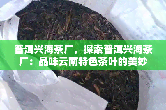 普洱兴海茶厂，探索普洱兴海茶厂：品味云南特色茶叶的美妙之旅