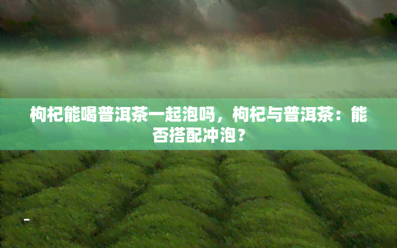 枸杞能喝普洱茶一起泡吗，枸杞与普洱茶：能否搭配冲泡？