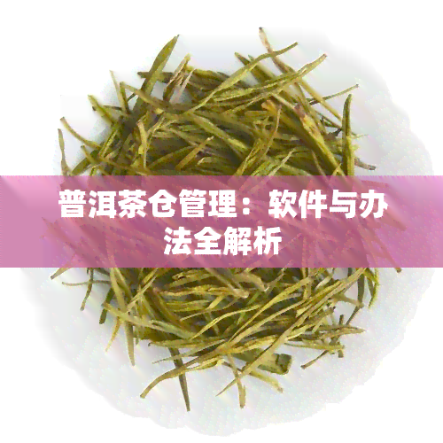 普洱茶仓管理：软件与办法全解析