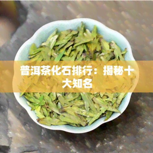 普洱茶化石排行：揭秘十大知名