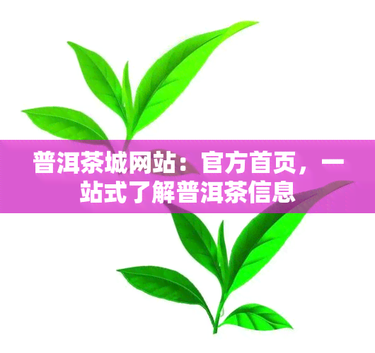 普洱茶城网站：官方首页，一站式了解普洱茶信息