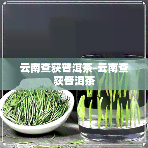 云南查获普洱茶-云南查获普洱茶