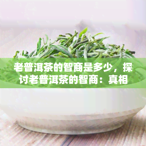 老普洱茶的智商是多少，探讨老普洱茶的智商：真相或误解？