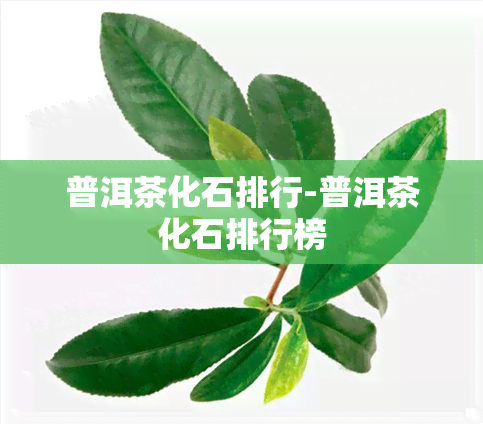 普洱茶化石排行-普洱茶化石排行榜