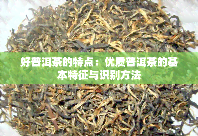 好普洱茶的特点：优质普洱茶的基本特征与识别方法