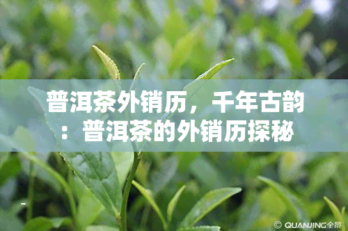 普洱茶外销历，千年古韵：普洱茶的外销历探秘