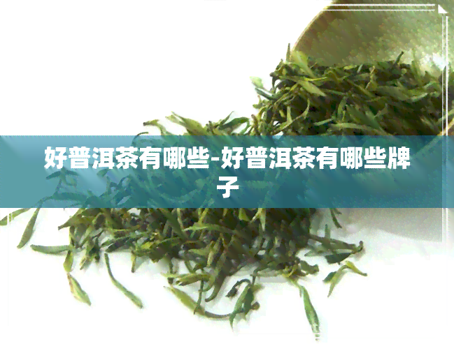 好普洱茶有哪些-好普洱茶有哪些牌子