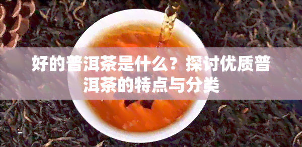 好的普洱茶是什么？探讨优质普洱茶的特点与分类