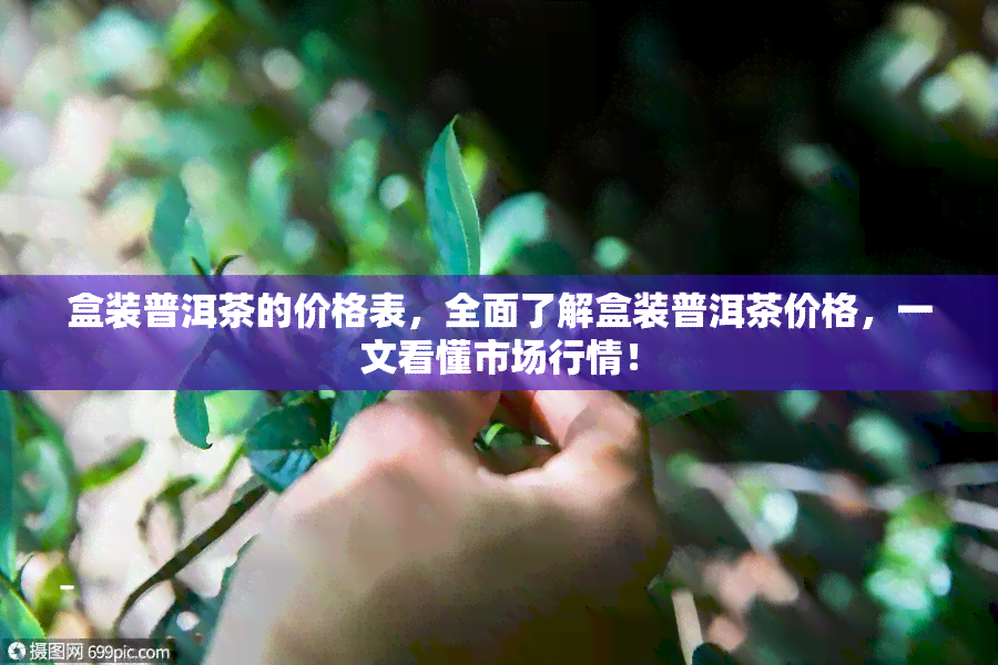 盒装普洱茶的价格表，全面了解盒装普洱茶价格，一文看懂市场行情！