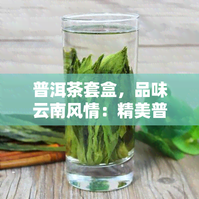 普洱茶套盒，品味云南风情：精美普洱茶套盒推荐