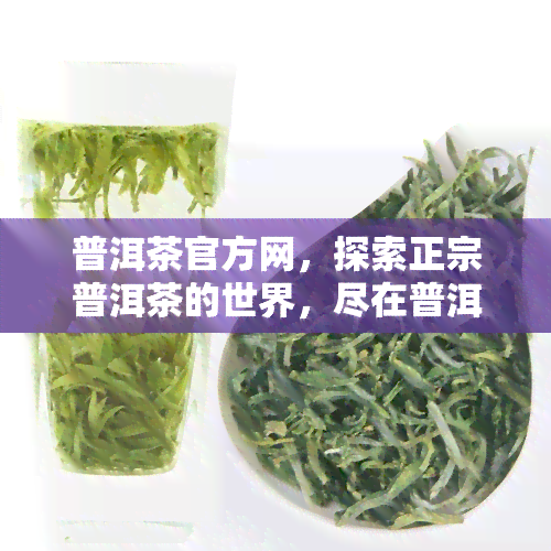 普洱茶官方网，探索正宗普洱茶的世界，尽在普洱茶官方网！