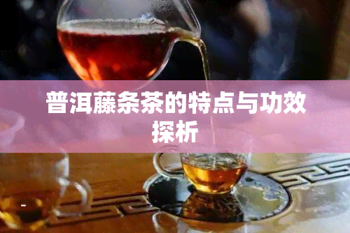 普洱藤条茶的特点与功效探析