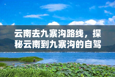 云南去九寨沟路线，探秘云南到九寨沟的自驾游路线